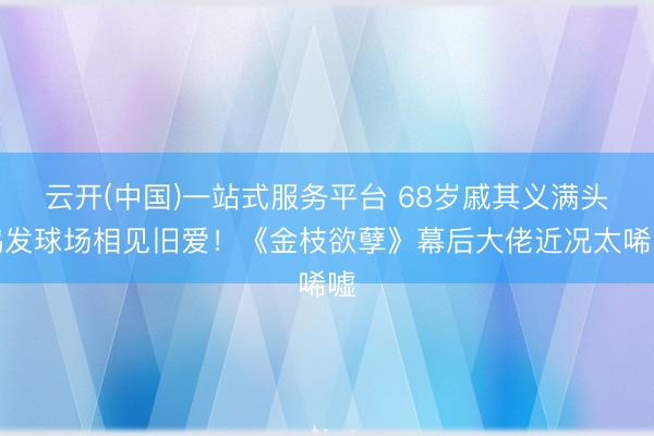 云开(中国)一站式服务平台 68岁戚其义满头鹤发球场相见旧爱！《金枝欲孽》幕后大