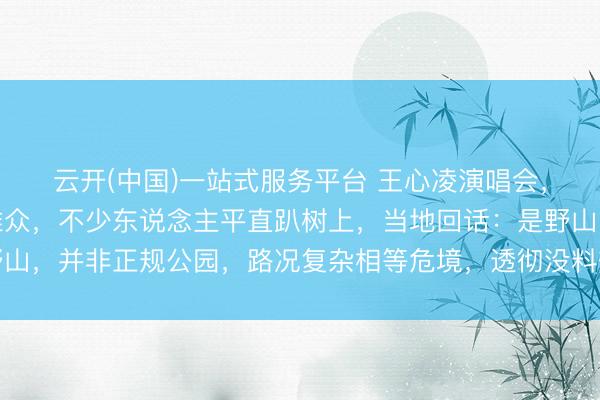 云开(中国)一站式服务平台 王心凌演唱会，场馆外野山上爬满不雅众，不少东说念主平直趴树上，当地回话：是野山，并非正规公园，路况复杂相等危境，透彻没料想会有东说念主爬上去