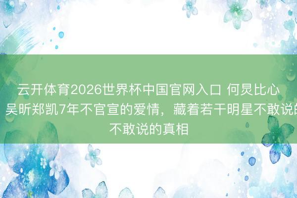 云开体育2026世界杯中国官网入口 何炅比心盖印！吴昕郑凯7年不官宣的爱情，藏着若干明星不敢说的真相