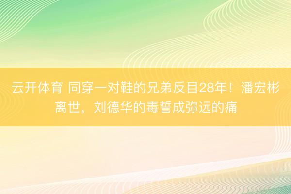 云开体育 同穿一对鞋的兄弟反目28年！潘宏彬离世，刘德华的毒誓成弥远的痛