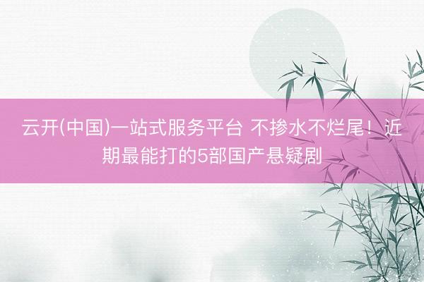 云开(中国)一站式服务平台 不掺水不烂尾！近期最能打的5部国产悬疑剧