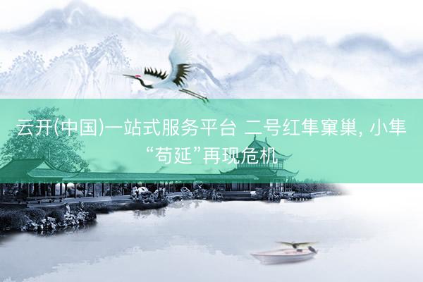 云开(中国)一站式服务平台 二号红隼窠巢, 小隼“苟延”再现危机